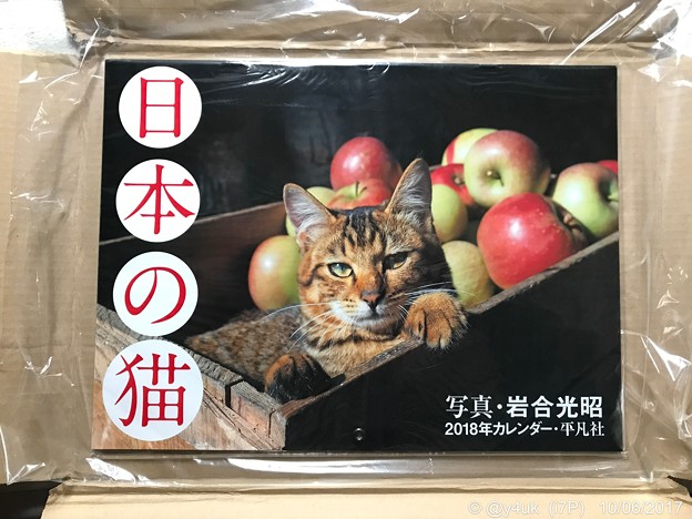 ねこ写真が生きてる～岩合光昭ワールド全開～&quot;日本の猫カレンダー&quot;もう到着オーラに悶絶