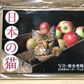 Photos: ねこ写真が生きてる～岩合光昭ワールド全開～"日本の猫カレンダー"もう到着オーラに悶絶