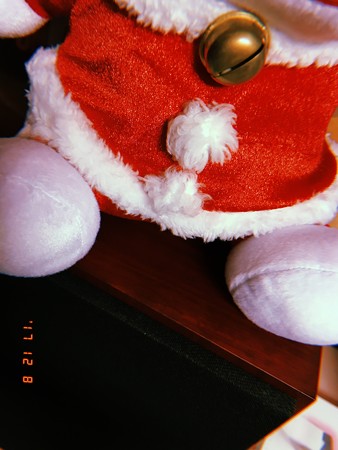 君は誰？〜Santa(cat?) on B&W listening Xmas songs〜フィルム想い出〜