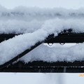 Photos: 細い電線にまで降りつもる大雪 ～snow cable
