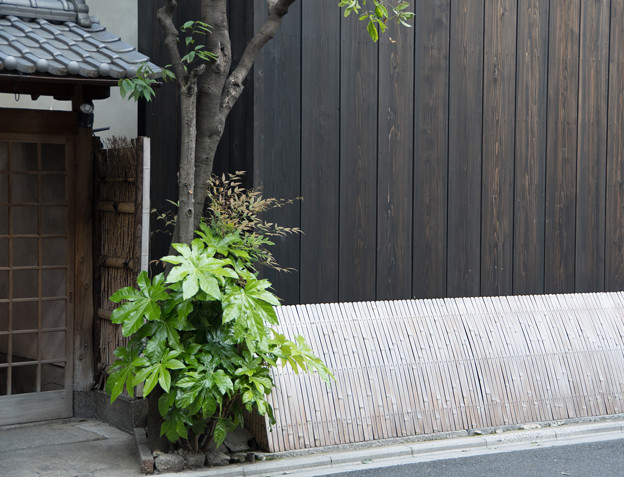 Photos: 京都の裏道、お散歩中