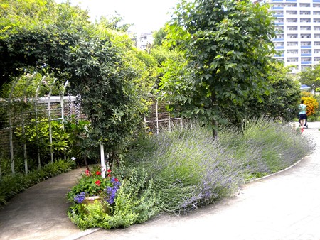 アメリカ山公園(13)