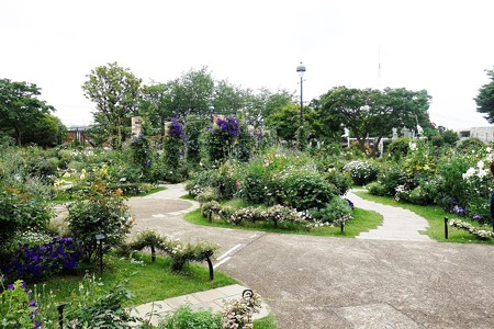 港の見える丘公園 (5)