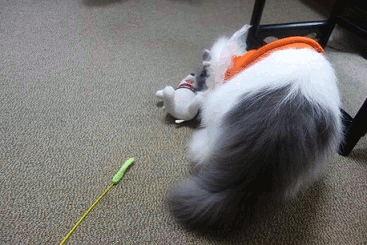 GIF!匂いフェチ
