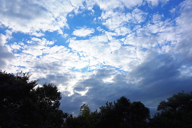 秋空 (2)