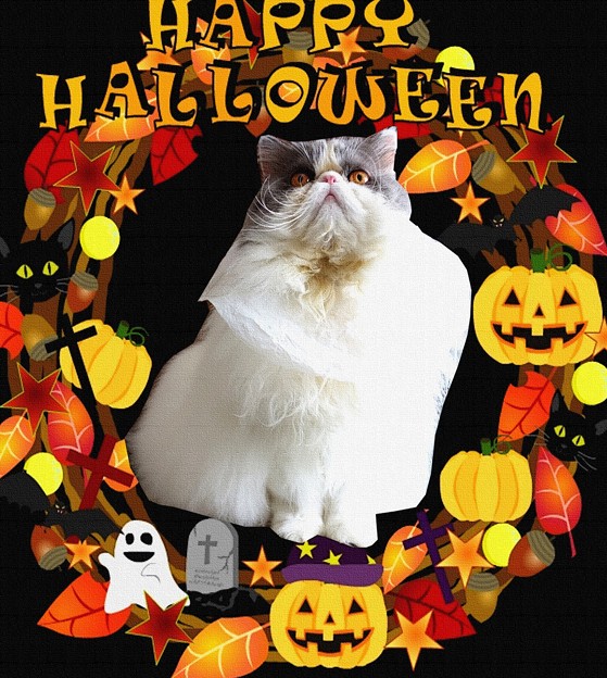 ハロウィン