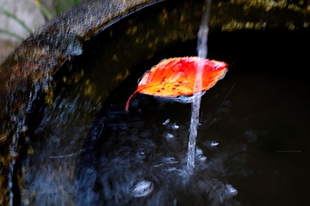 落ち葉と一縷の水