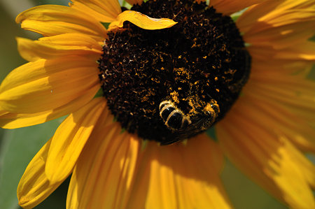 DSC_0064_1609