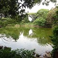 Photos: 神池