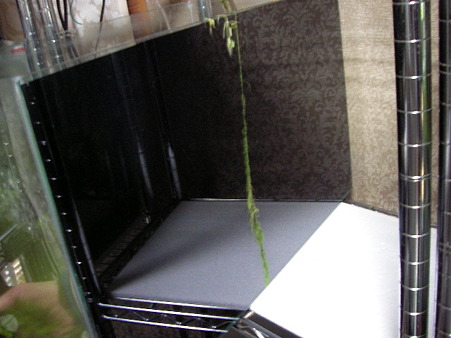 2011 3月 002
