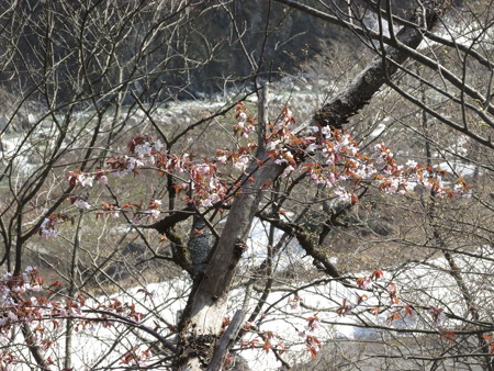 0843nay126