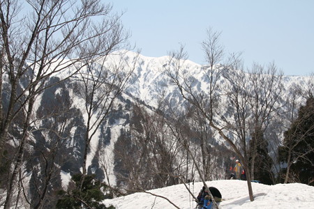 1204nay113