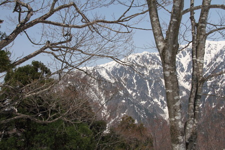 1205nay119