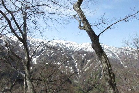 0929oiz135