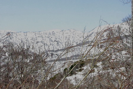 1305oiz166