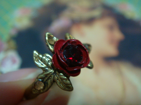 紅い薔薇@Michal Negrin
