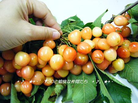 DSCF8598_pa