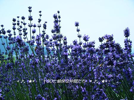 DSCF8722_pa