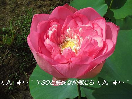 DSCF0041_pa