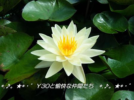 DSCF8838_pa