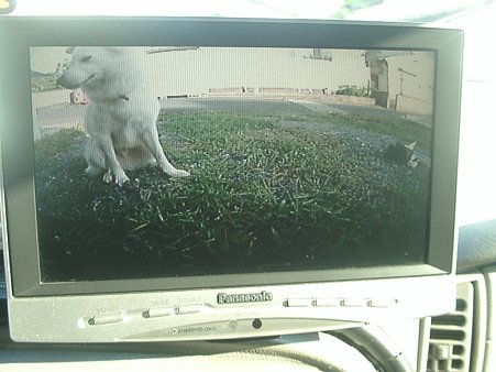 フロントカメラ映像