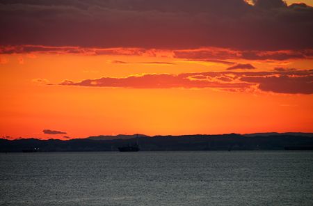 IMG_5754