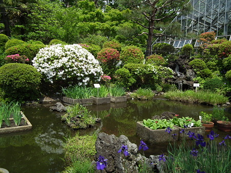 DSCF0012