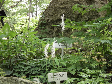 DSCF0144