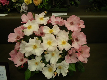 DSCF0762