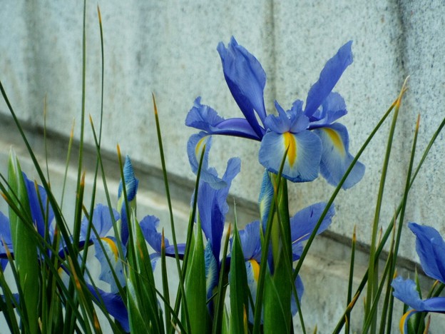 DSCF0229