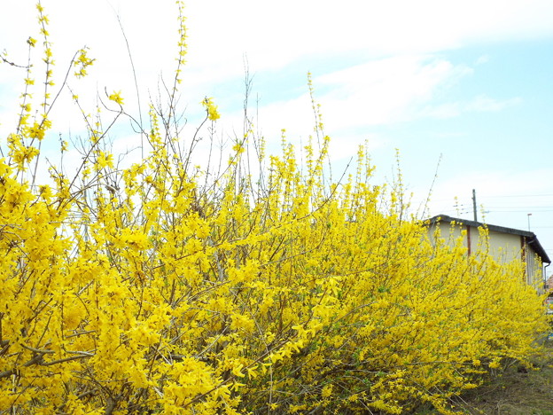 DSCF0166