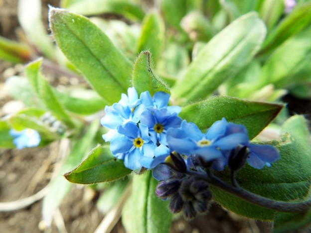DSCF0467