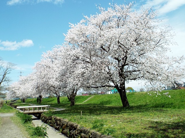 DSCF0166