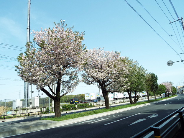DSCF0154