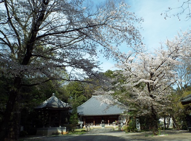 DSCF0443