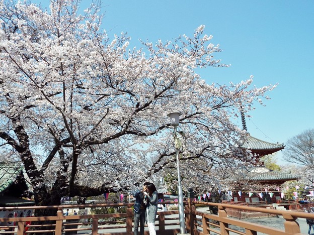 DSCF0361