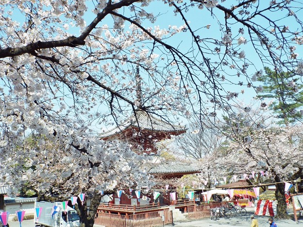 DSCF0375
