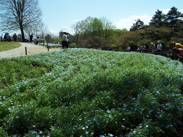 DSCF0061