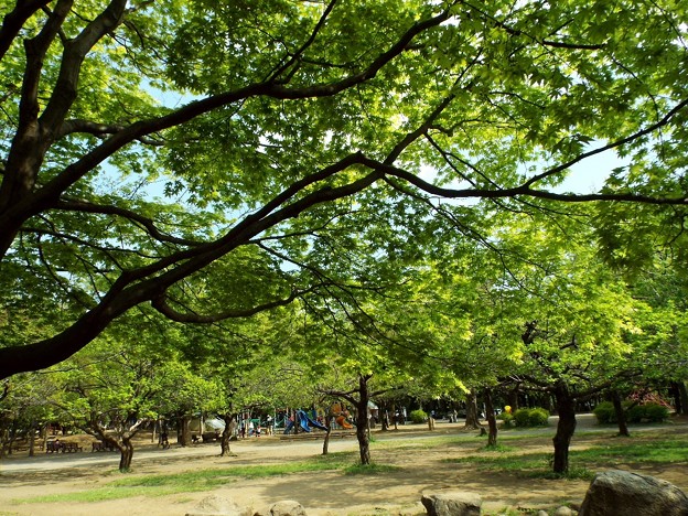 DSCF0410