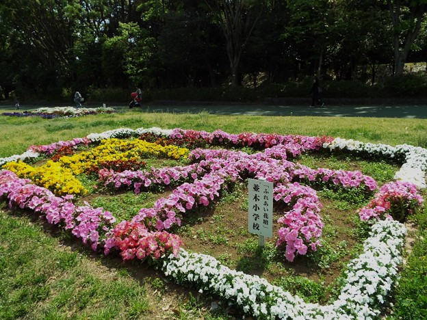 DSCF0243