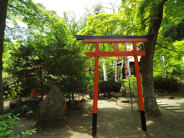 DSCF0286