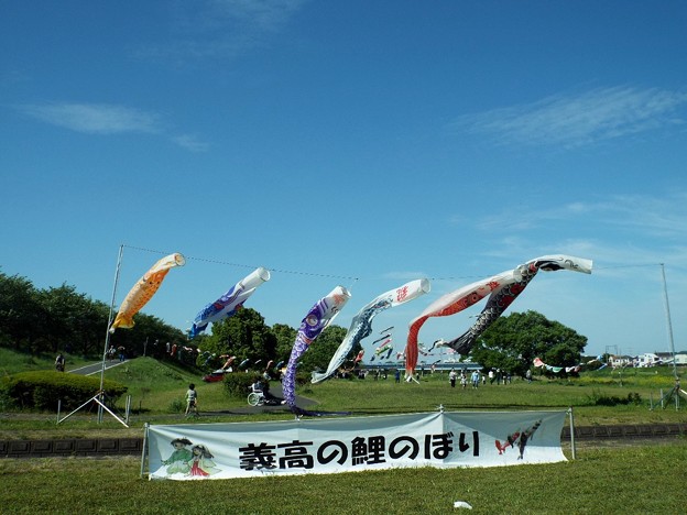 DSCF0670