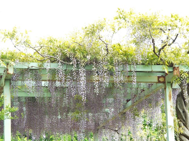 DSCF0160