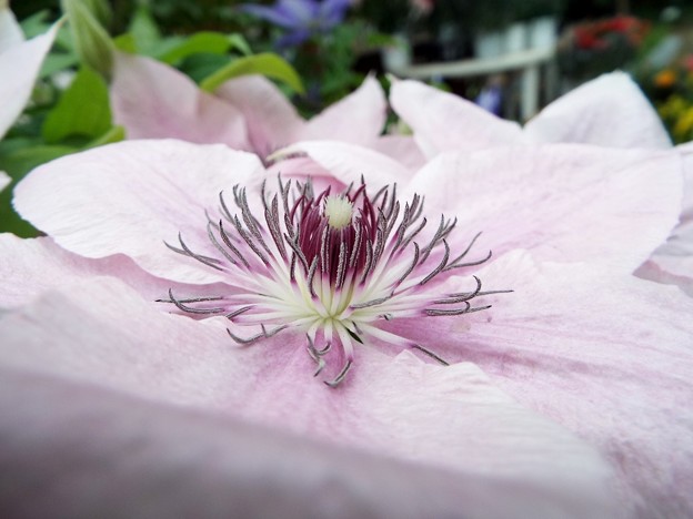 DSCF0378