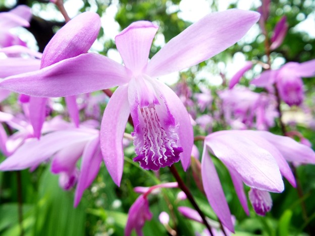 DSCF0058