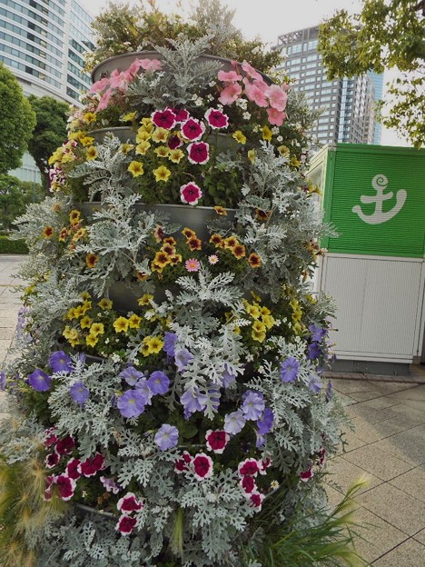 DSCF0286