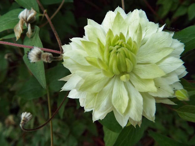 DSCF0584