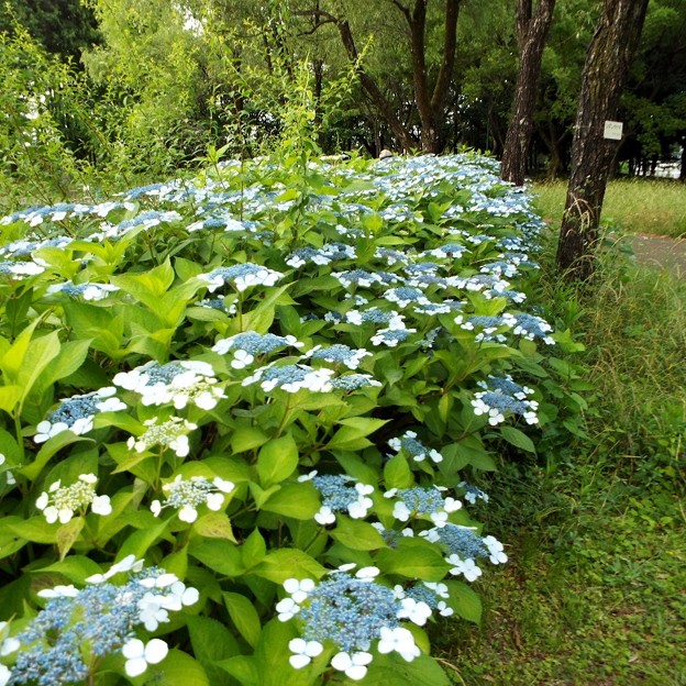 DSCF0058