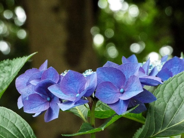 DSCF0242