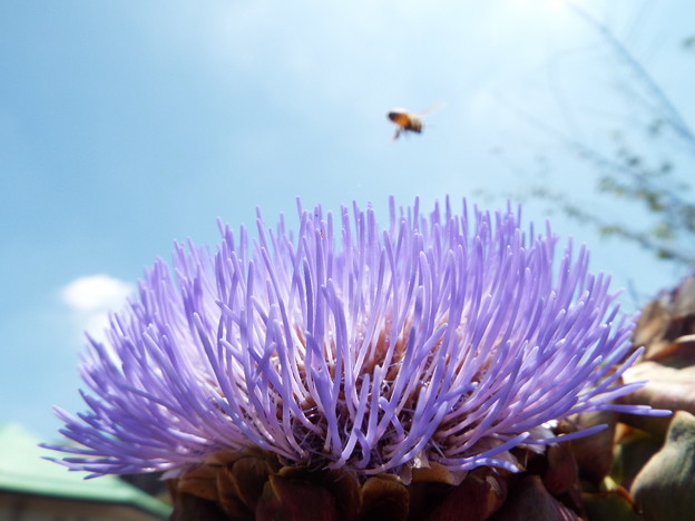 DSCF0014
